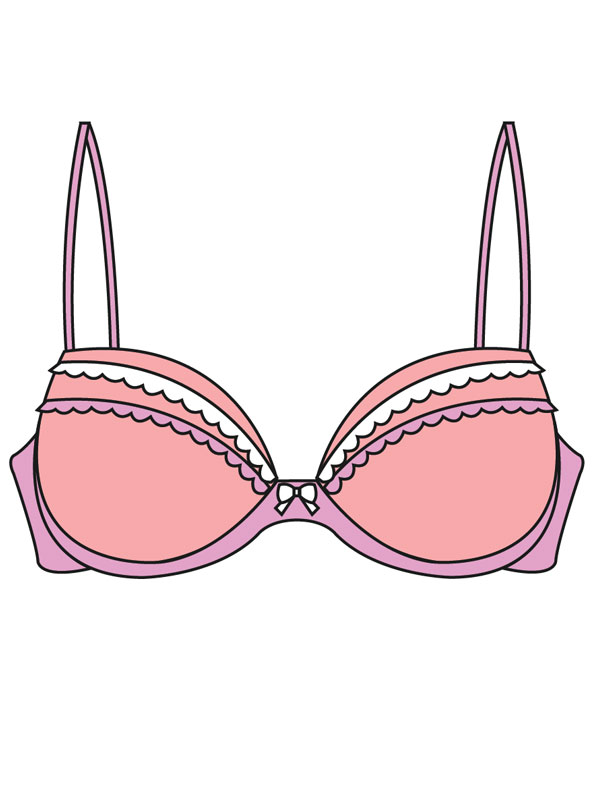 Full Support Bra